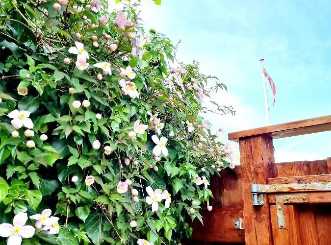 Neptun Studio-apartment With Terrace. Copenhagen