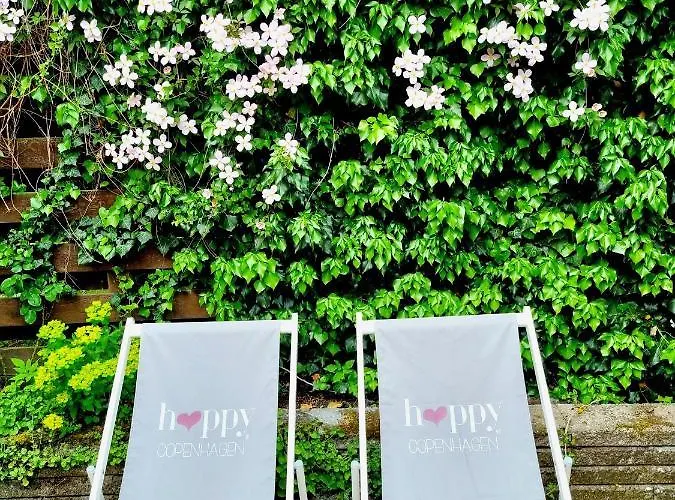 Neptun Studio-apartment With Terrace. *